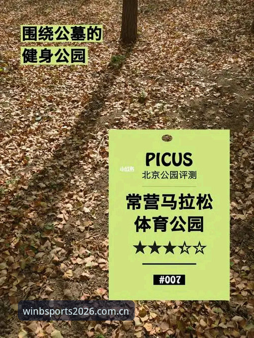 B体育平台2026新版官网地址评测与下载安装详解